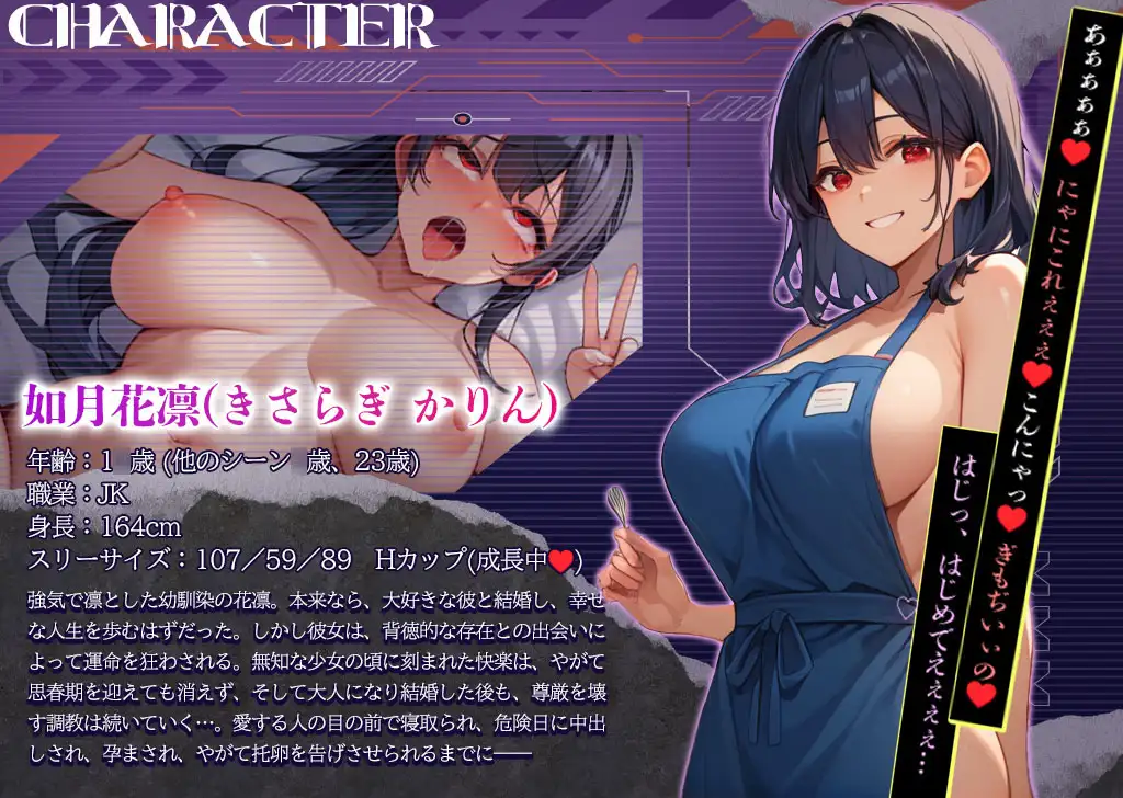 快楽堕ち孕ませ調教録 ~凛とした幼馴染、寝取りの果てに孕まされ続ける~