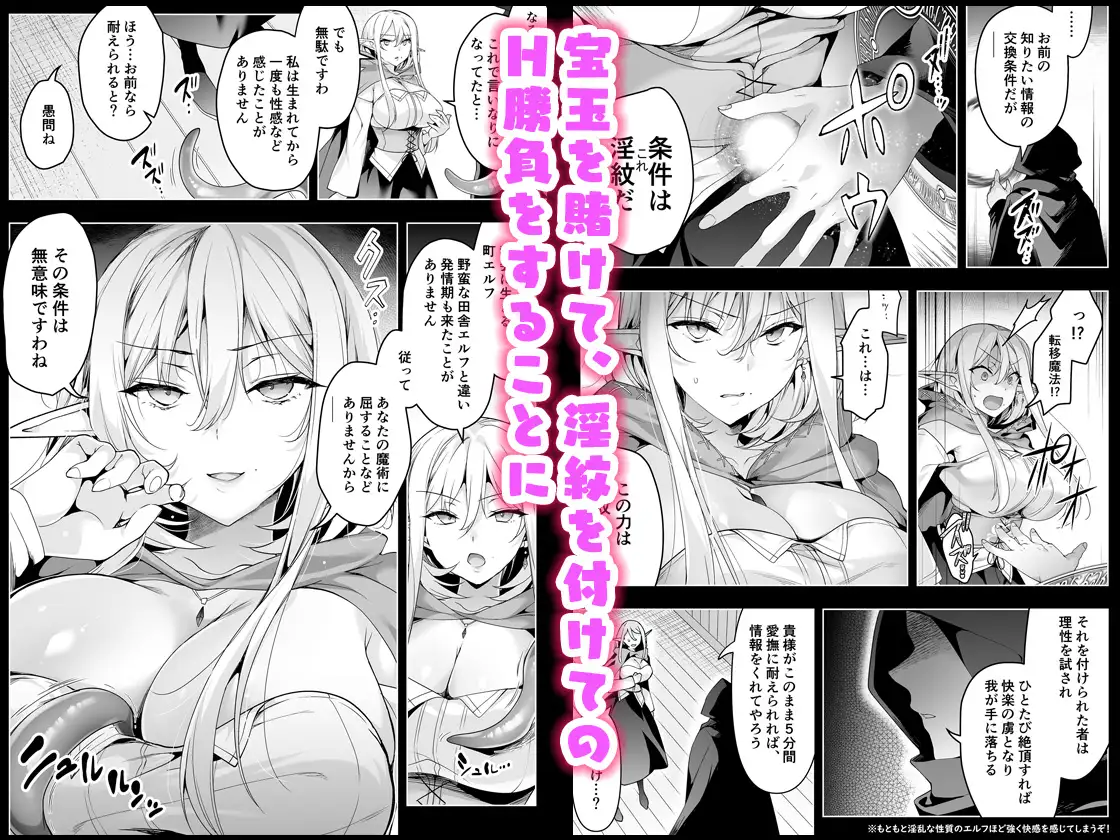 エルフに淫紋を付ける本 LEVEL:6