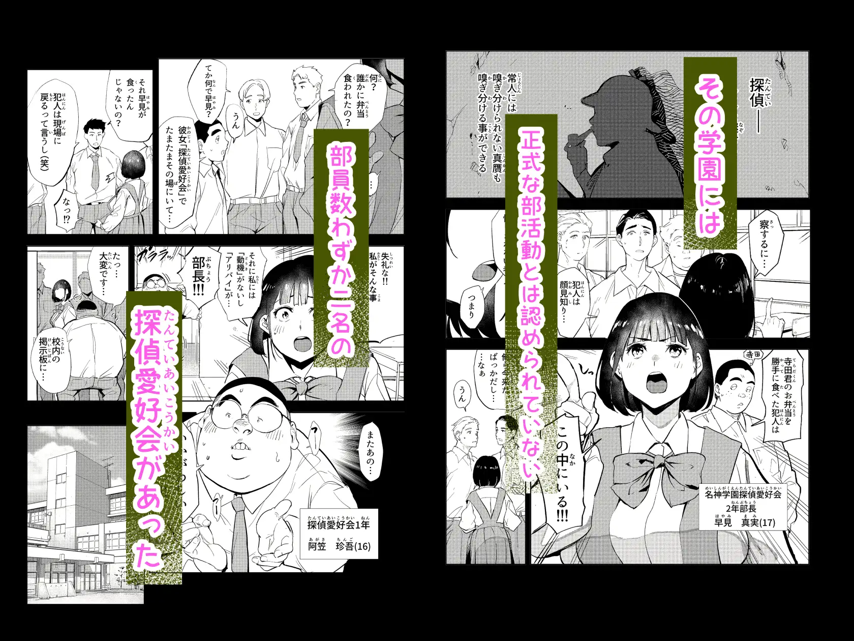 勃ってる間だけ時間停止～即ハメレビューの秘密～