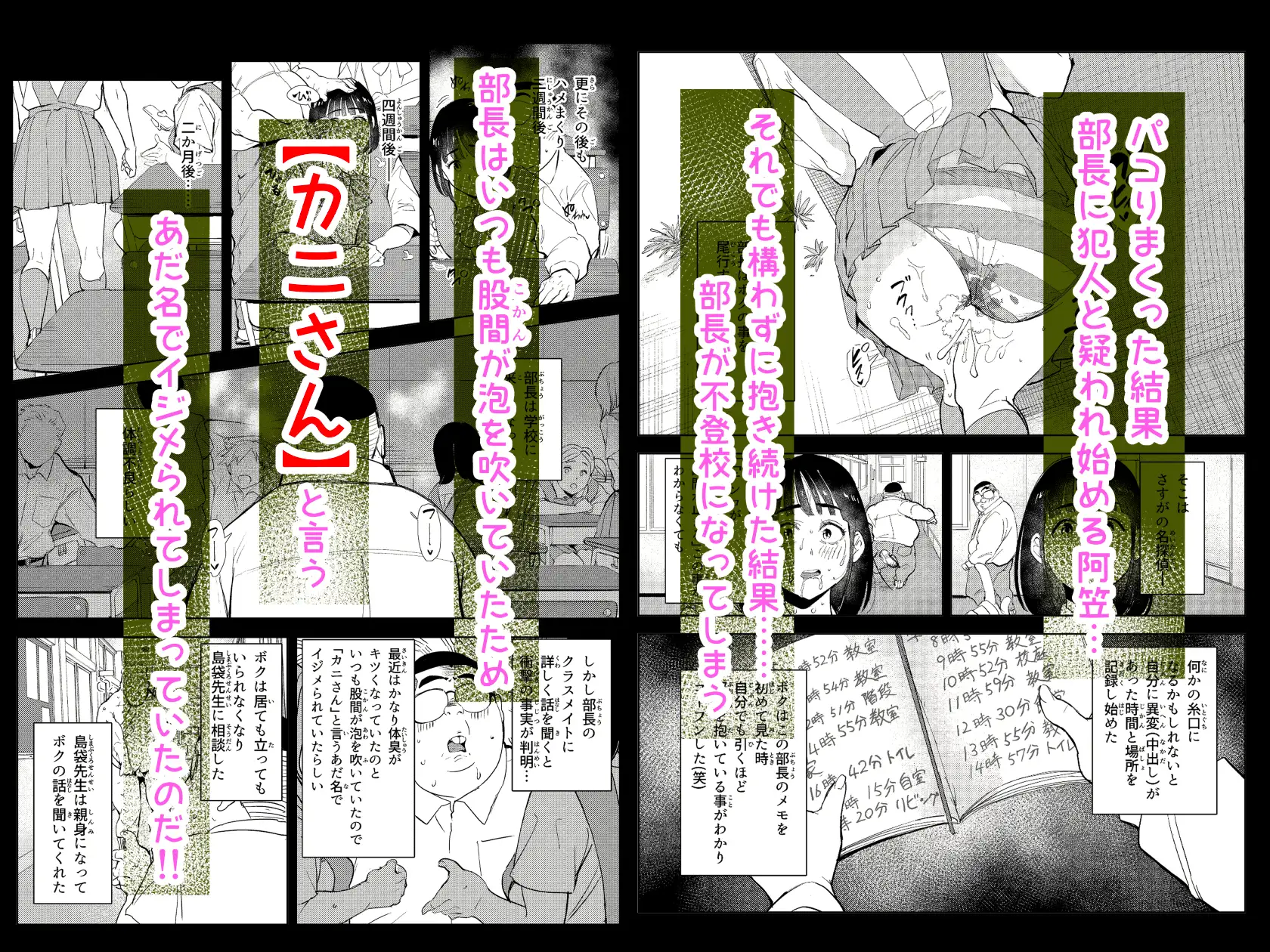 勃ってる間だけ時間停止～即ハメレビューの秘密～