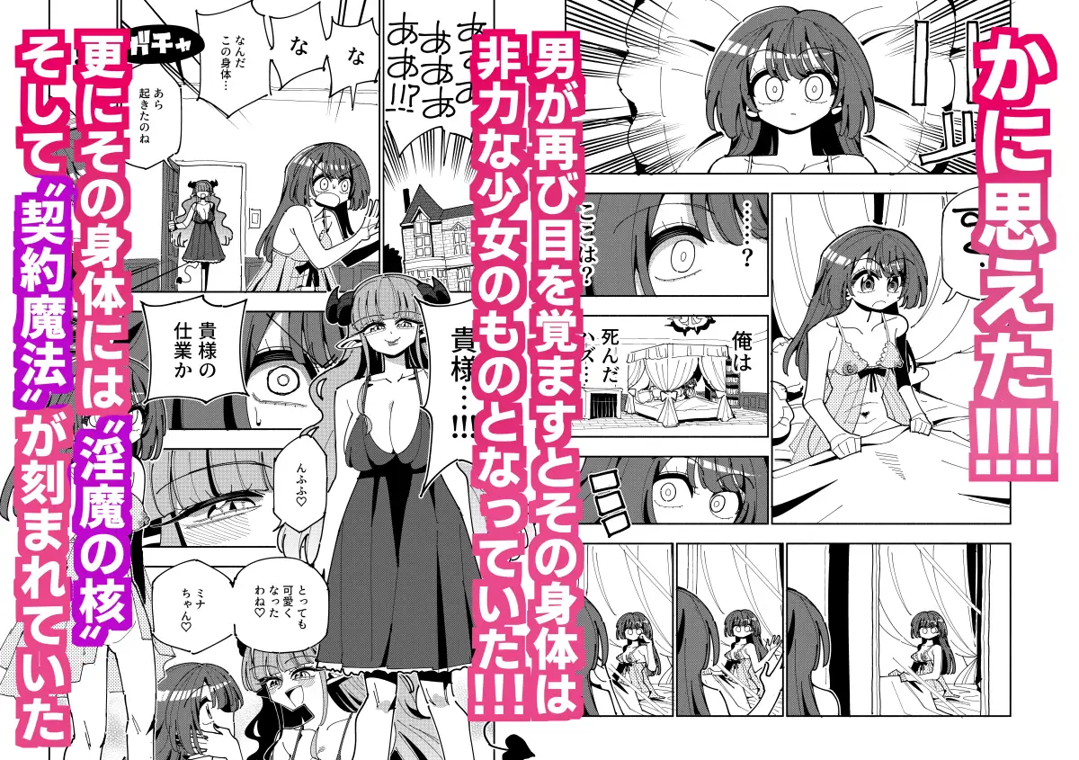 TS復讐者は淫魔の妹になる