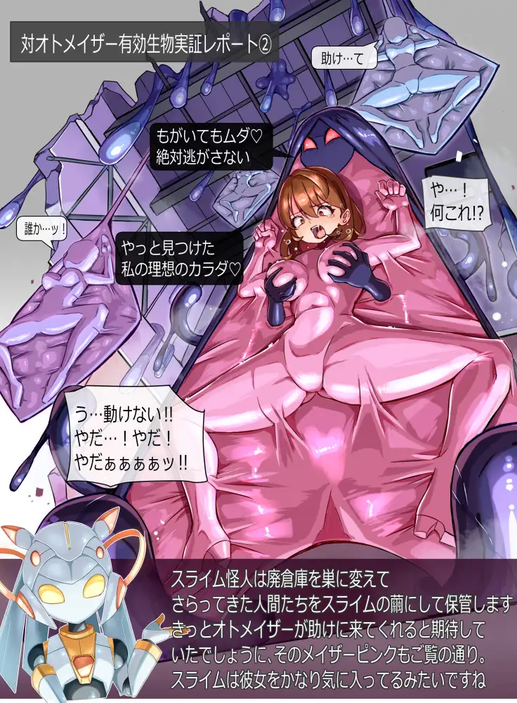 装麗癒契オトメイザー ひみつ大図鑑(3)