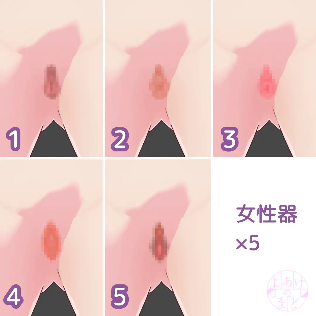 【VRoid】女性器・アナルテクスチャ2【12枚+カスタムアイテム】