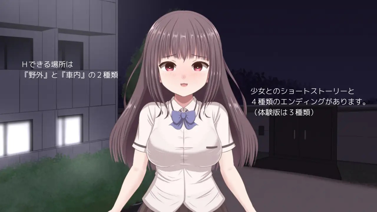 無理やりHシミュレーション~家出少女を凌○~