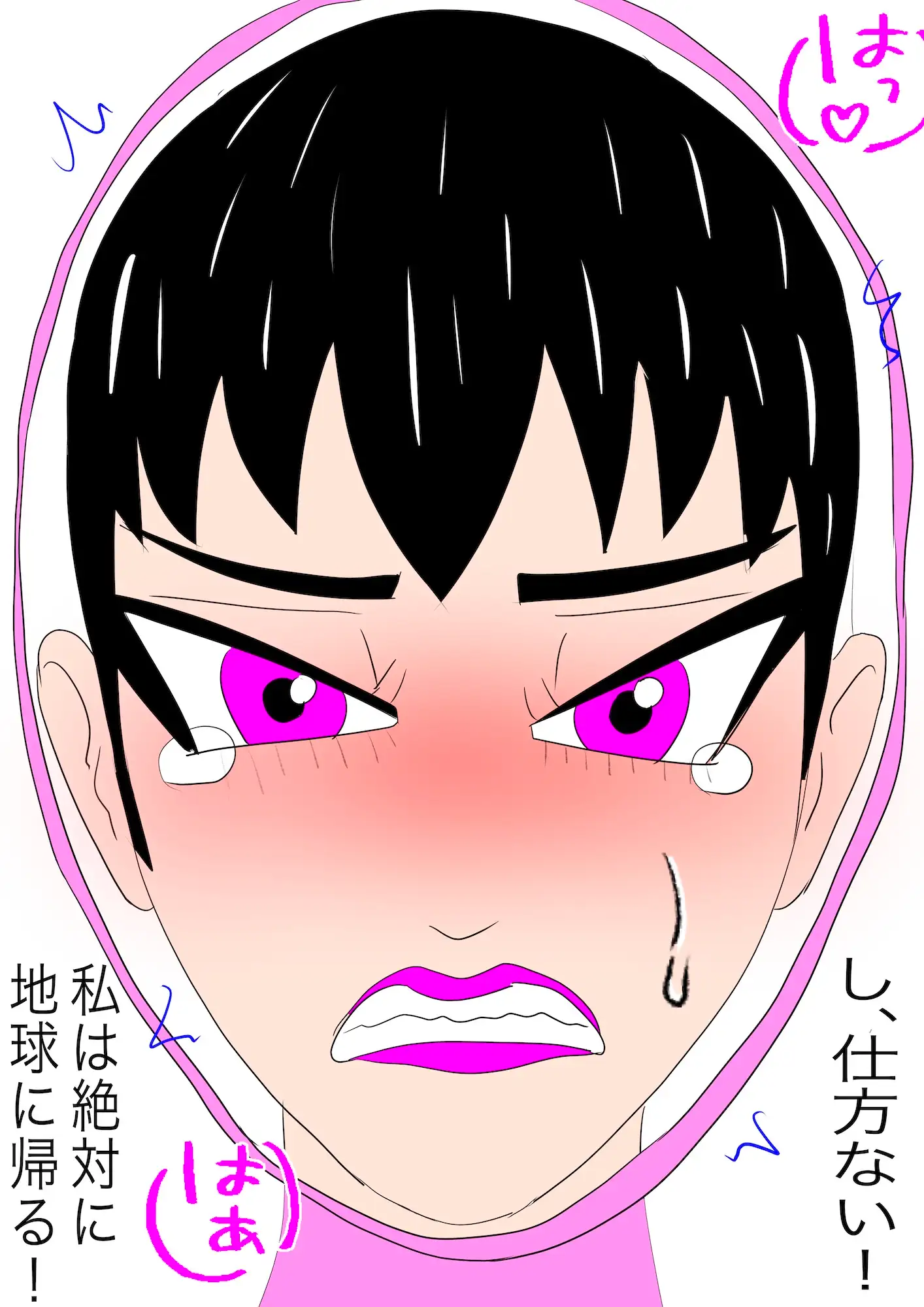 戦隊ピンク不完全変身プロジェクト・ハイル・プッシー