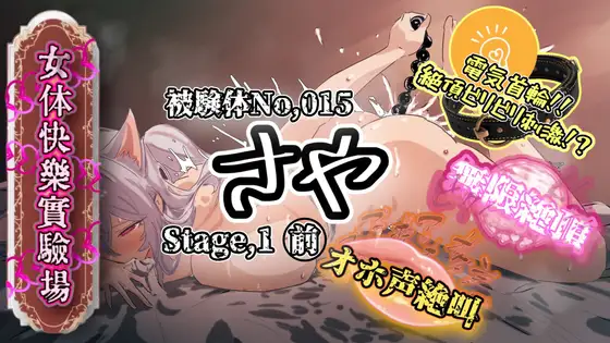 『女体快楽実験場』 被験体No,015「さや」Stage,1前編