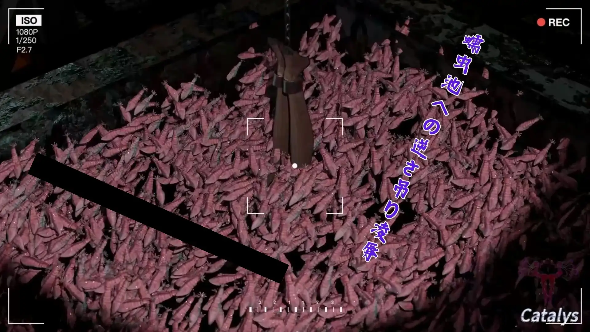 ヴァイオレット番外編:蠕虫の苗床・五つの極限拡張と溢流記録