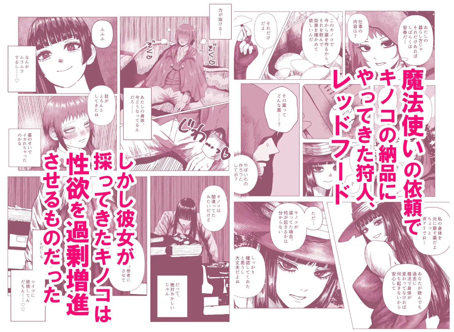 魔法使いの探求心