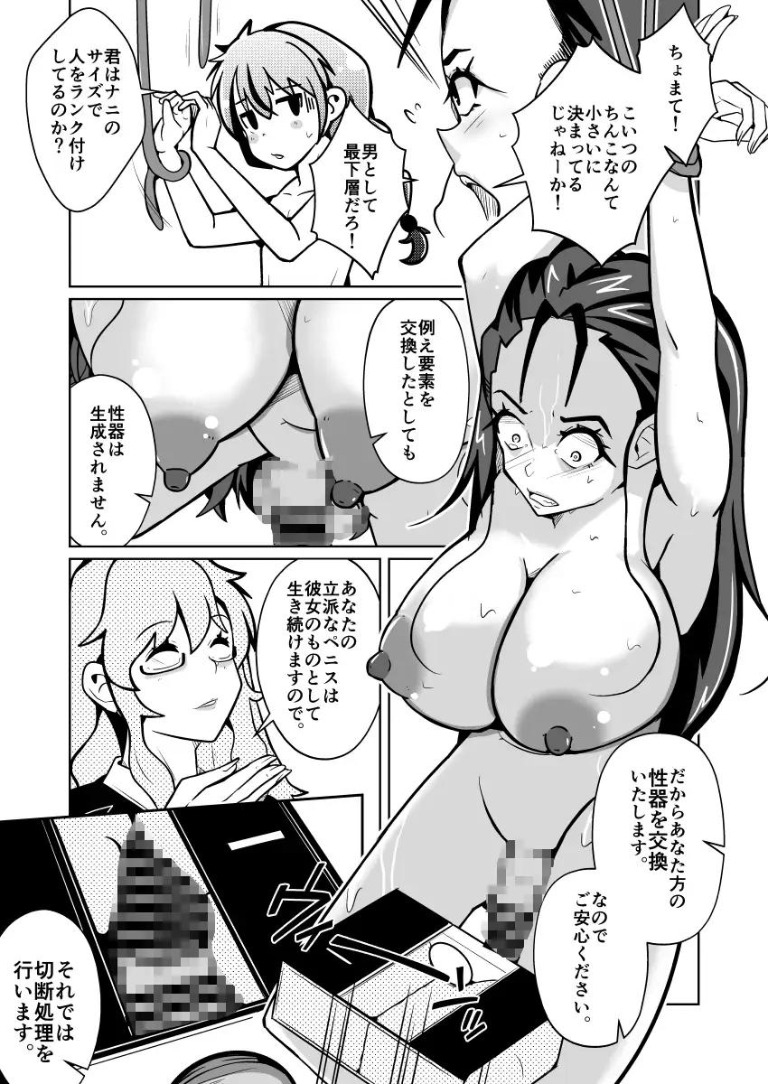 国家による性別交換 俺の適正職は性処理メイド、彼女は…