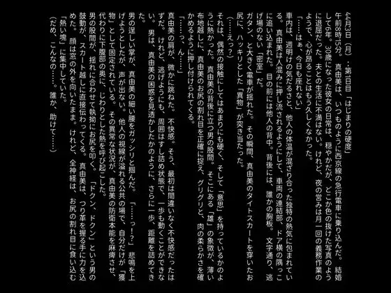 【官能小説】快楽の通姦快速