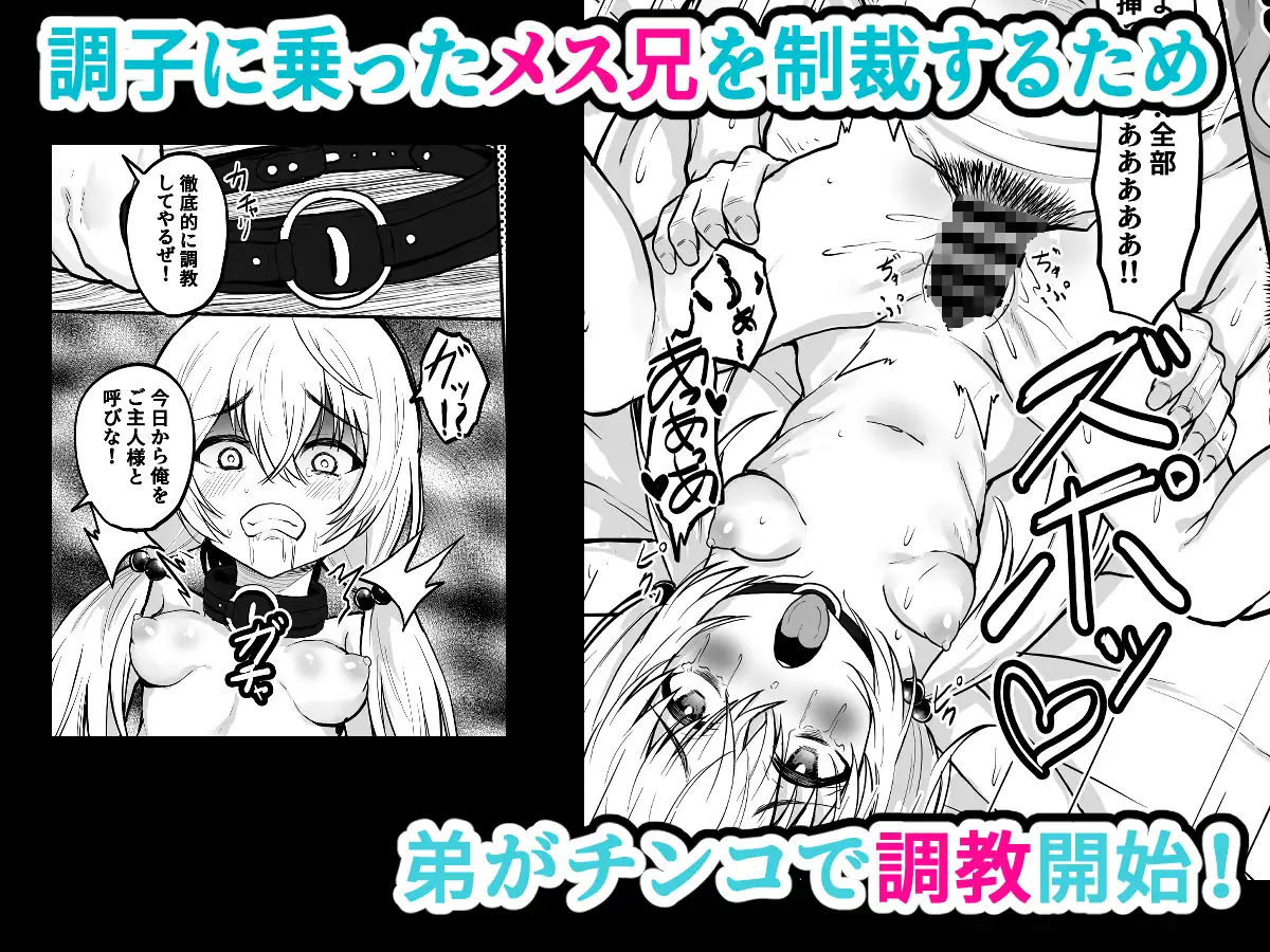 TSメス兄 性転換した兄を調教して飼いならす！