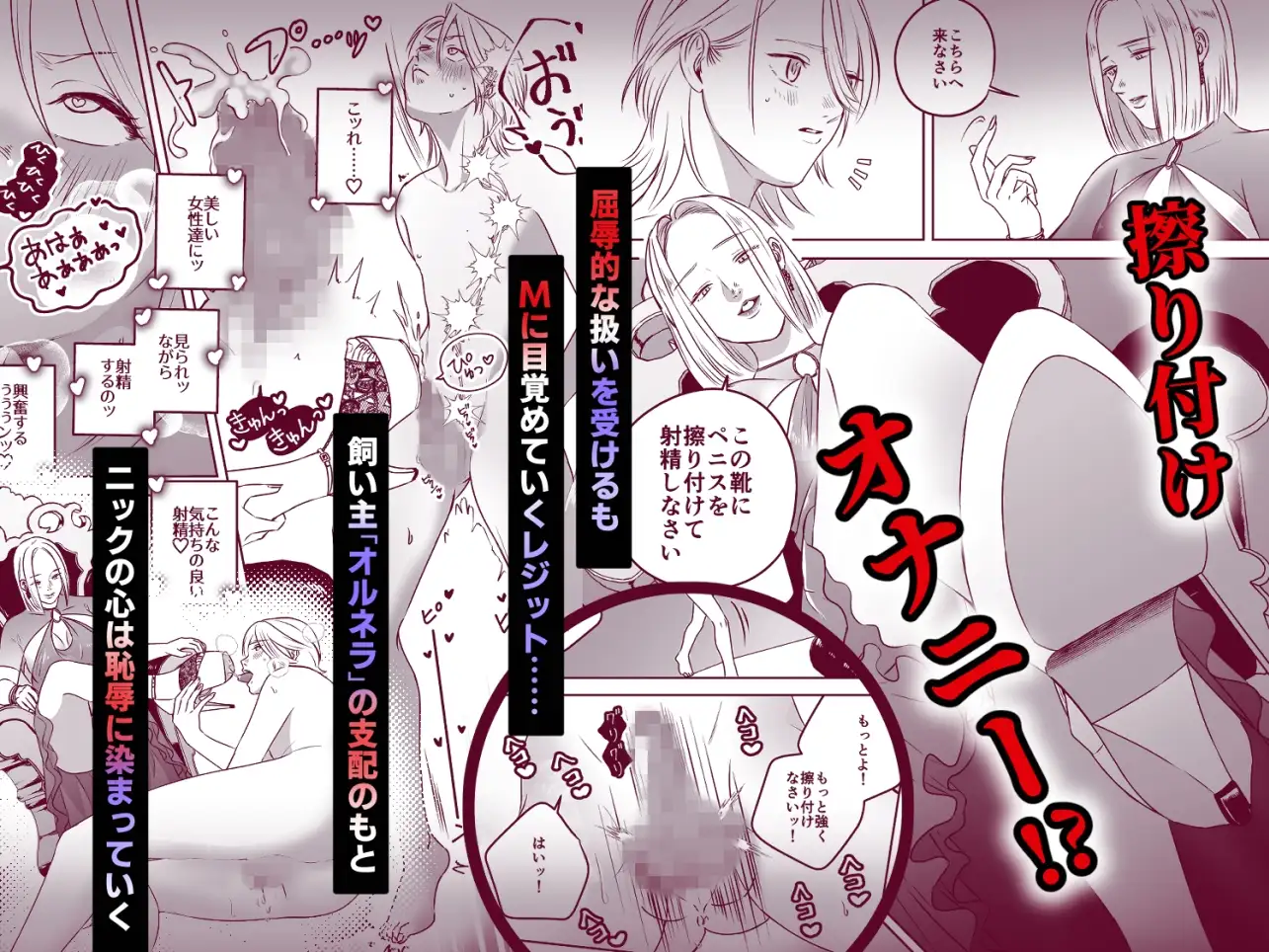 ハイガーデン ローライフ