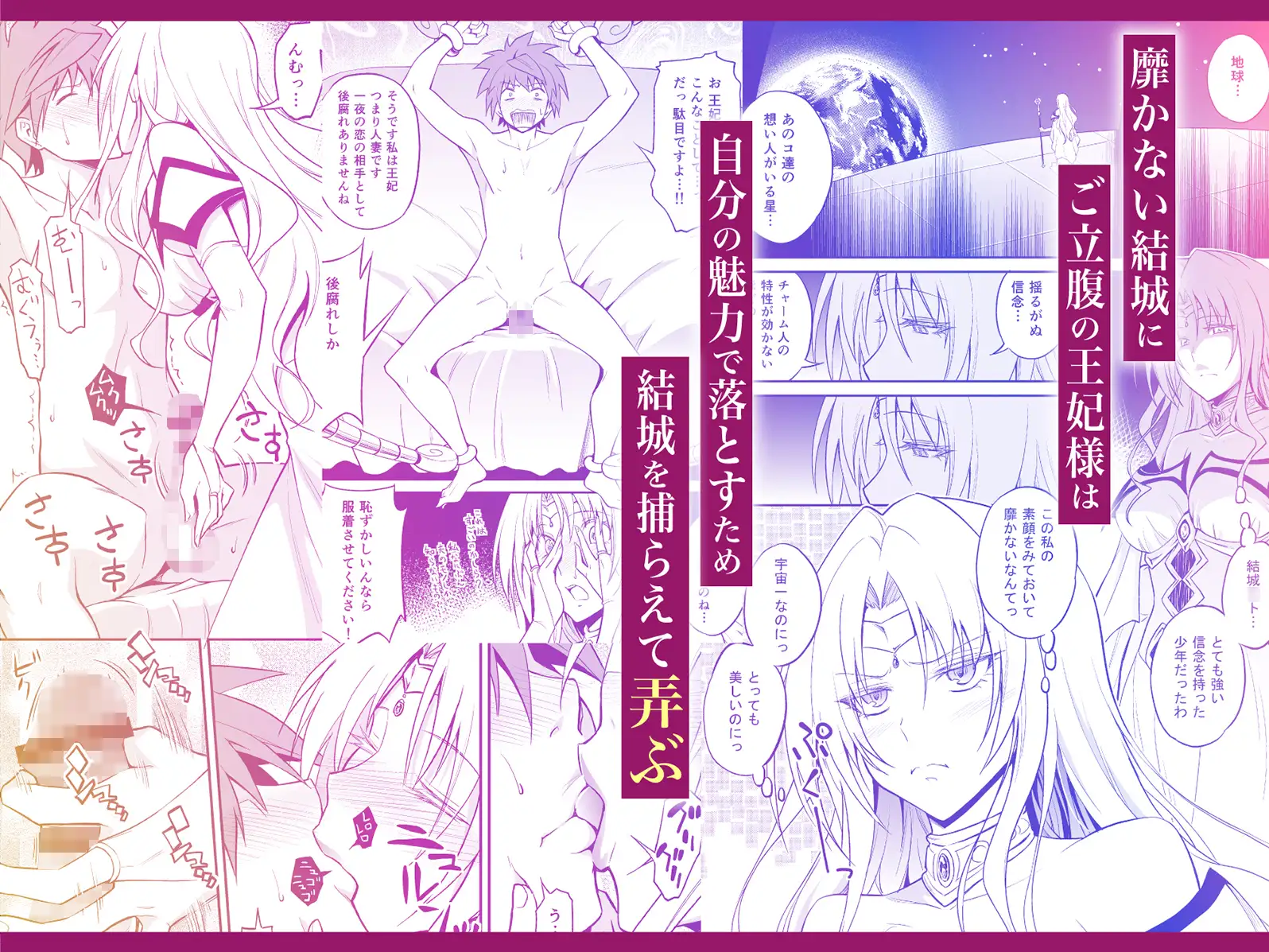 王妃様はっちゃけあそばす～淫欲の宴～