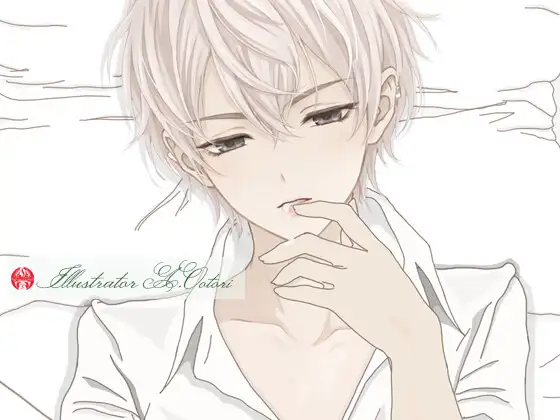 【動画付/Complete】佐倉しのぶ Season 11 — 聖域の決壊 —(A1リメイク&高解像度静止画同梱版)