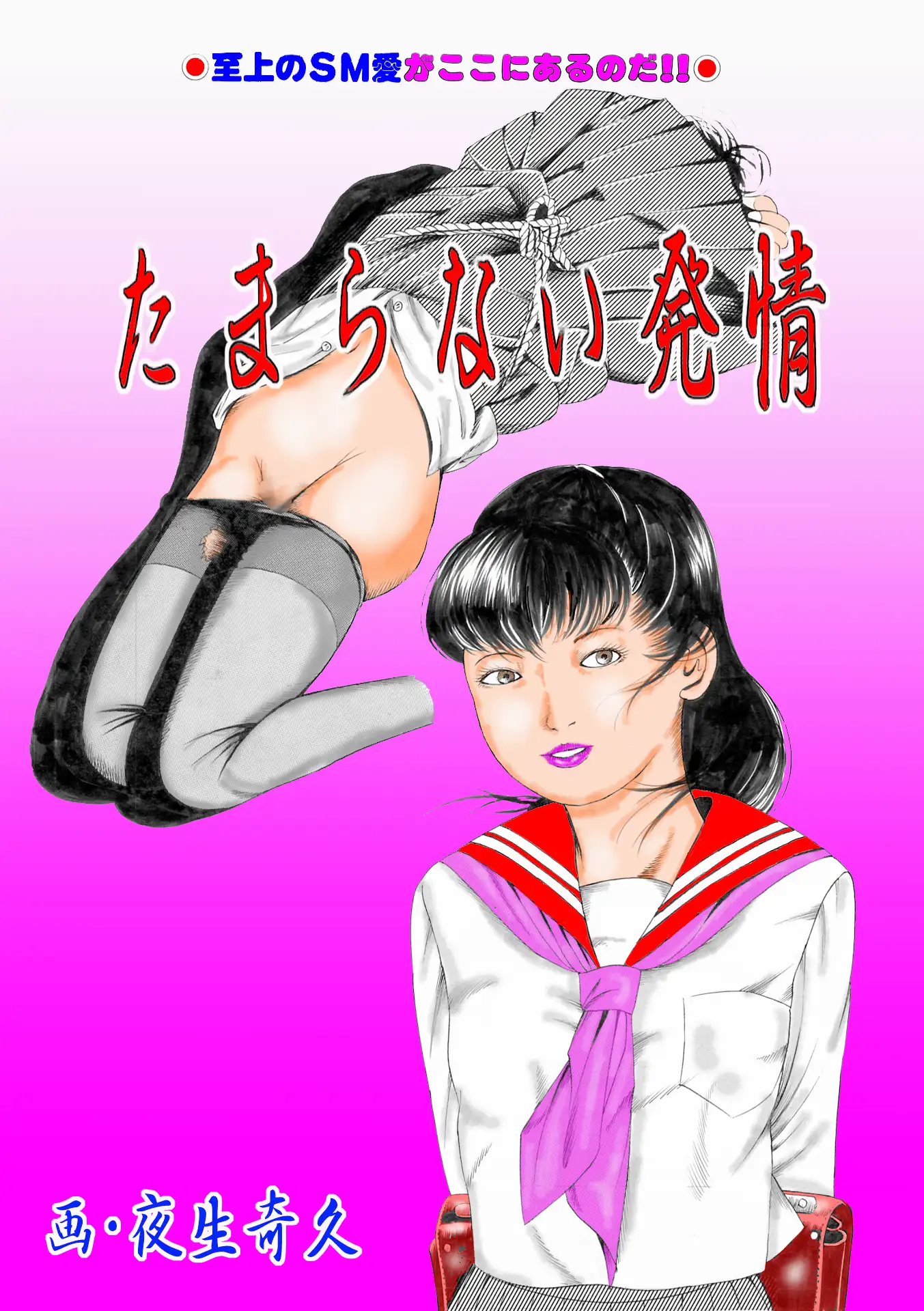 夜生奇久作品集9 少女地獄3作品