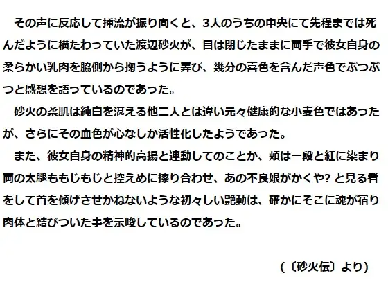 サファイア・ソウル ～逃避の代償～ ベレアヌート未曾有録 -9-