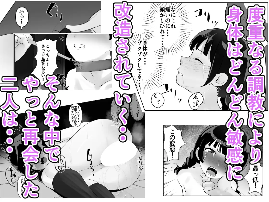 蹂躙職場体験～アナルマゾ豚に堕ちた幼馴染～後編