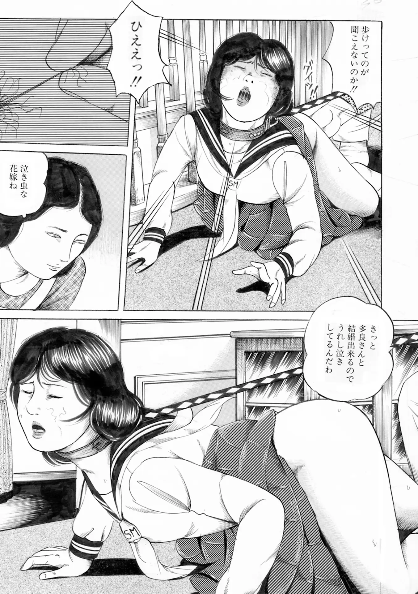 夜生奇久作品集10 愛奴少女2作品