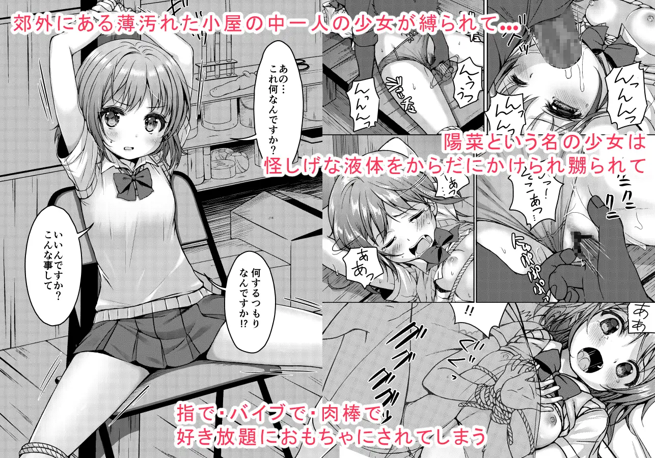 大人用のおもちゃ総集編