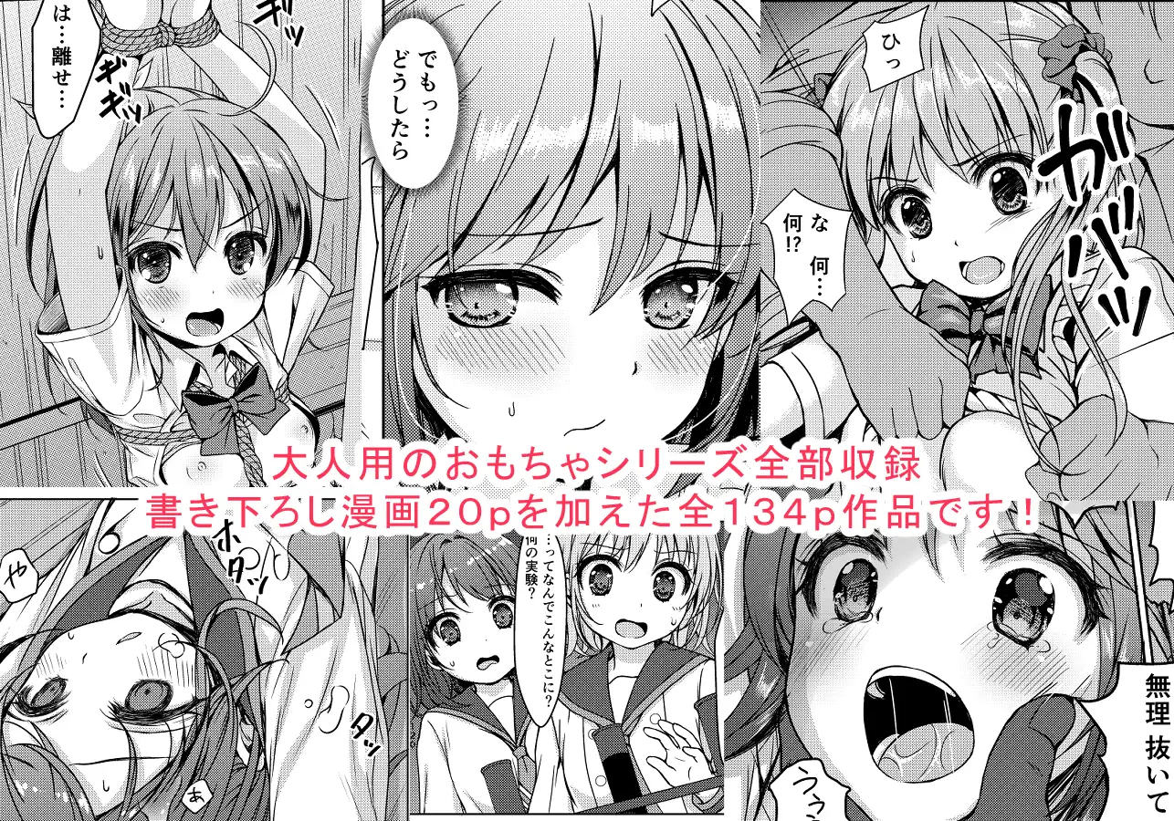 大人用のおもちゃ総集編