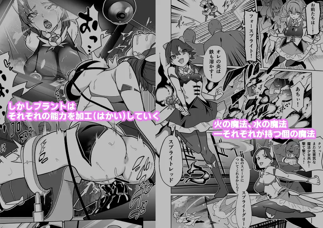 女畜加工プラント フォースプライト加工記録