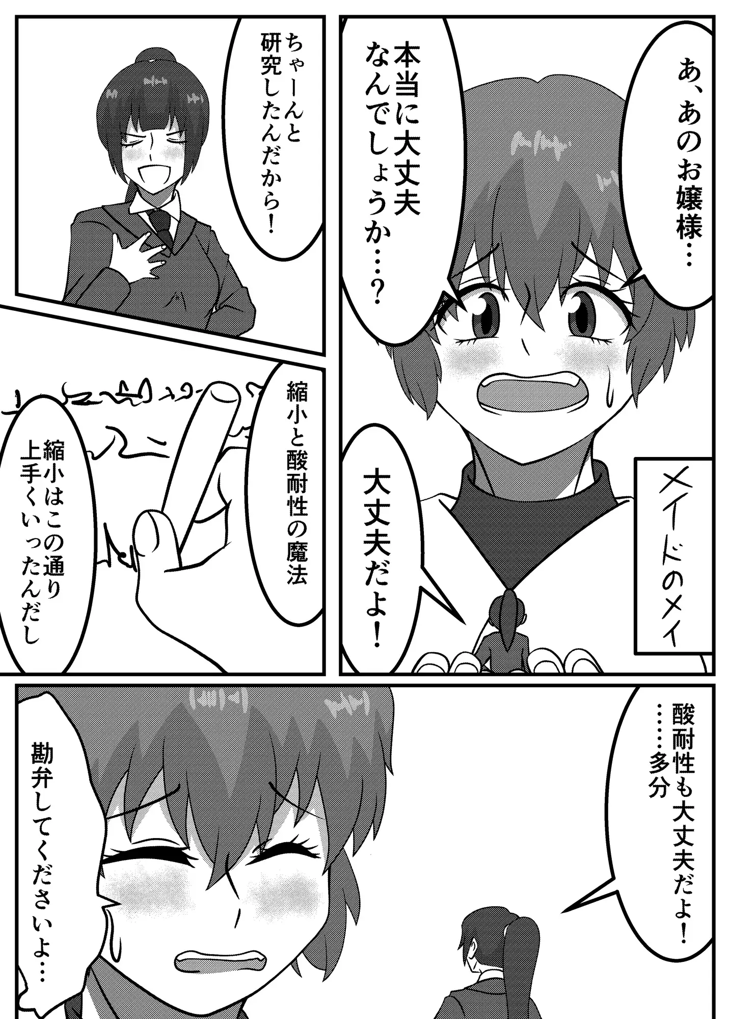 お嬢様とメイドのトンデモ魔法実験