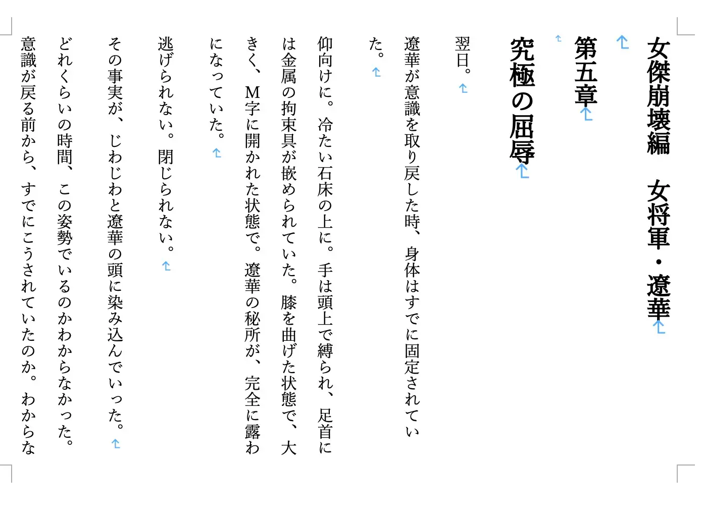 【ファンタジー/女将軍/NTR/百合/精神崩壊/征服/飲尿】 老王の征服録 暴君は高貴なる王妃・騎士・聖女を悉く支配する 〜女傑崩壊編5〜