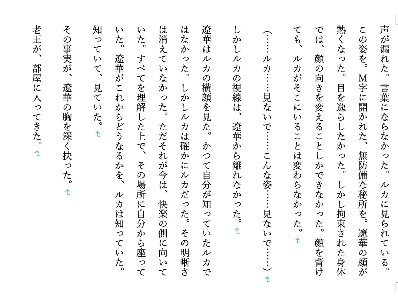 【ファンタジー/女将軍/NTR/百合/精神崩壊/征服/飲尿】 老王の征服録 暴君は高貴なる王妃・騎士・聖女を悉く支配する 〜女傑崩壊編5〜