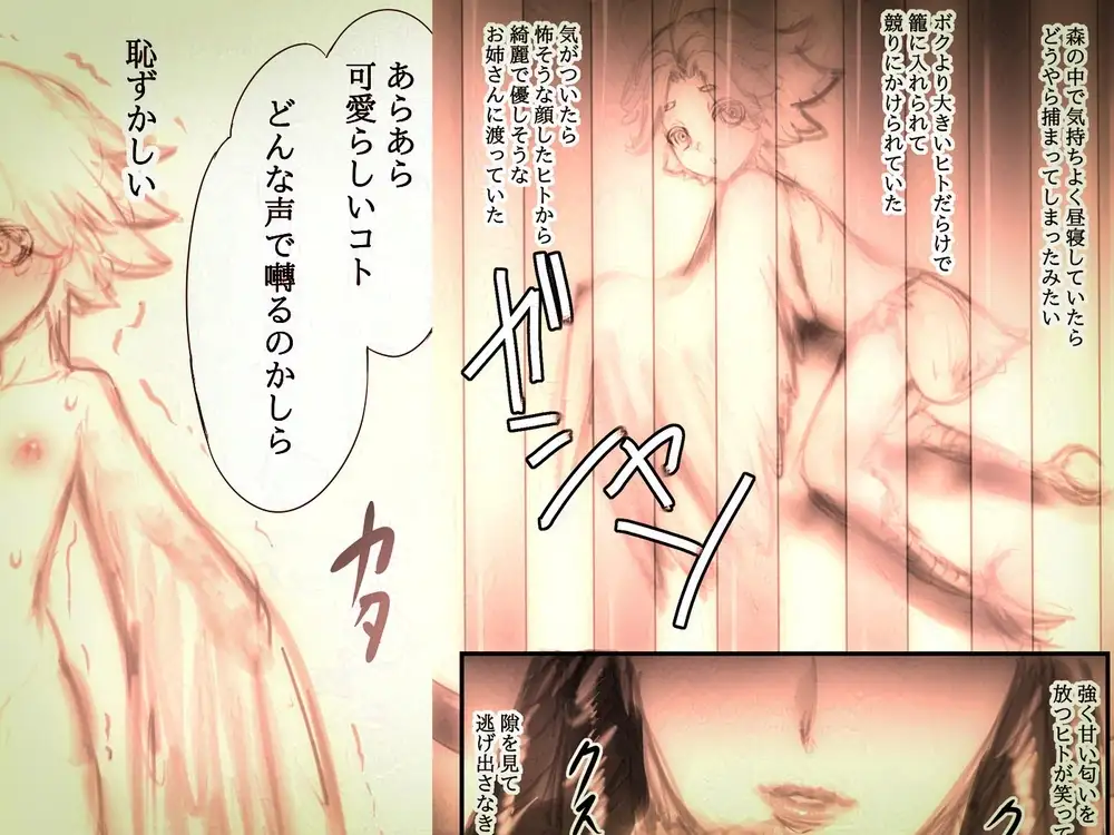 カナピュリオ-ショタハーピィは巨女に請い奏でる-