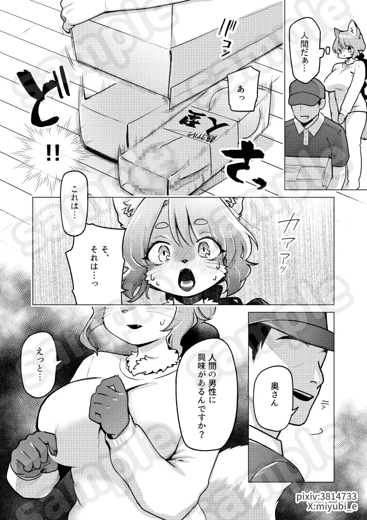 昼下がりの梢さん