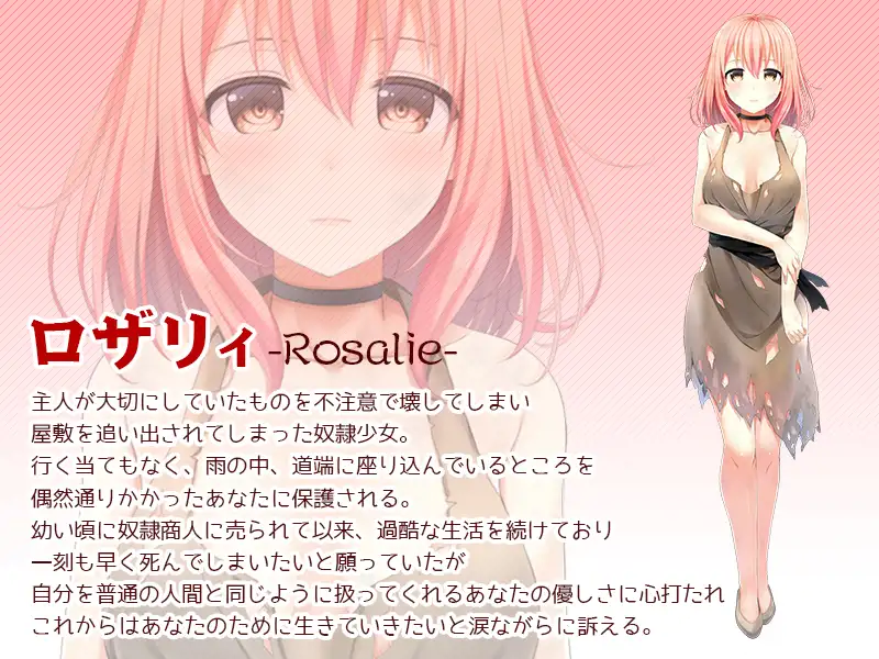 奴○少女ロザリィ総集編 ―捨てられた奴○少女が貴方と幸せになるまでの物語―