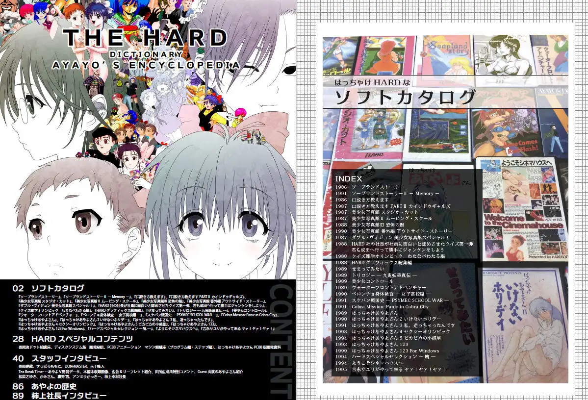 はっちゃけHARDなあやよさん本 増強版