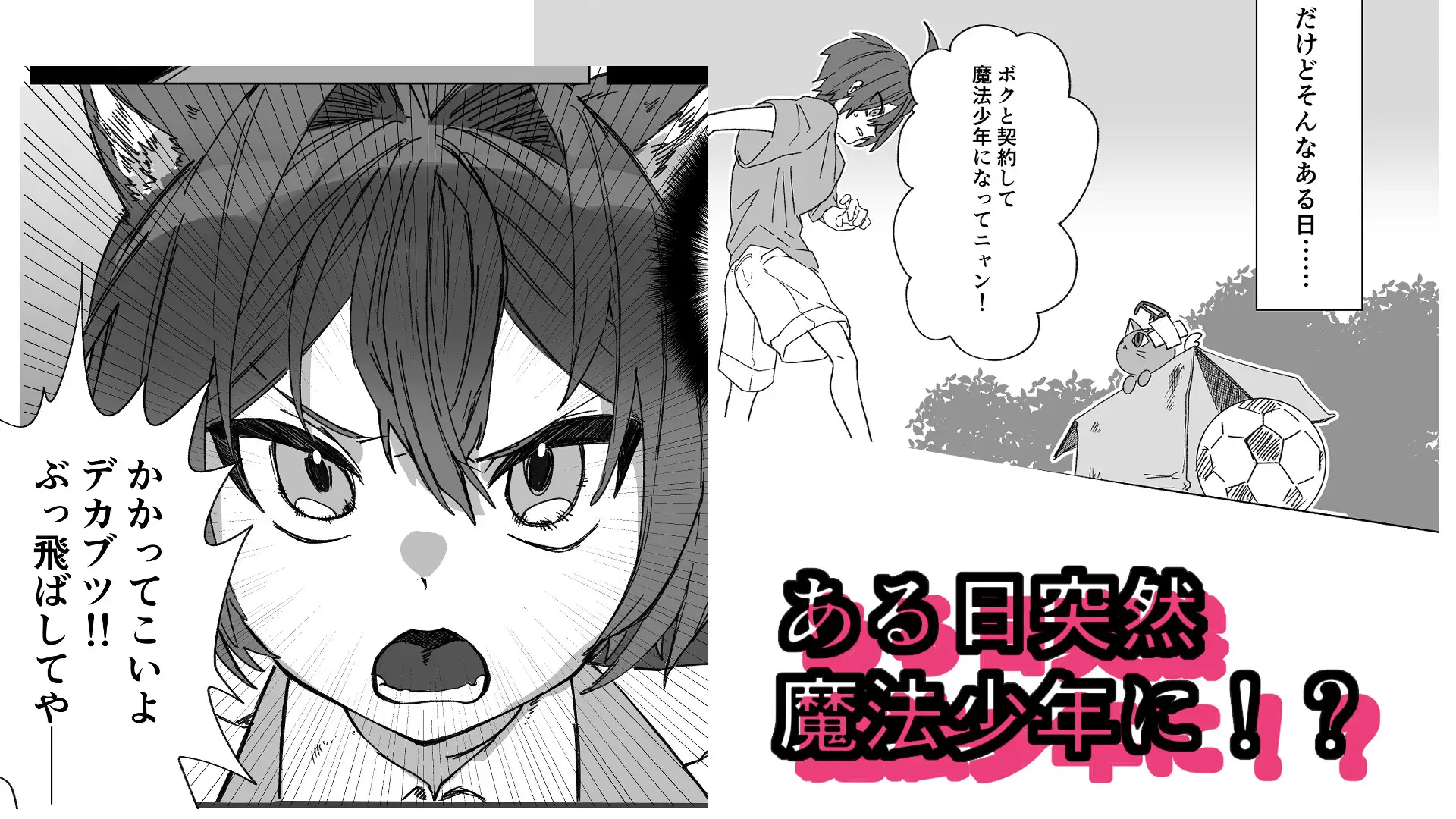 魔法少年が酷いコトされる本