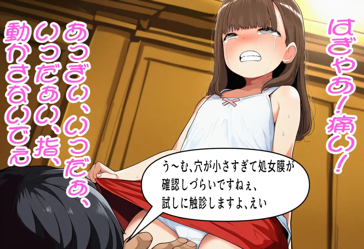 鬼畜レ○プ裁判～はたしてこれはレ○プだったのでしょうか?～