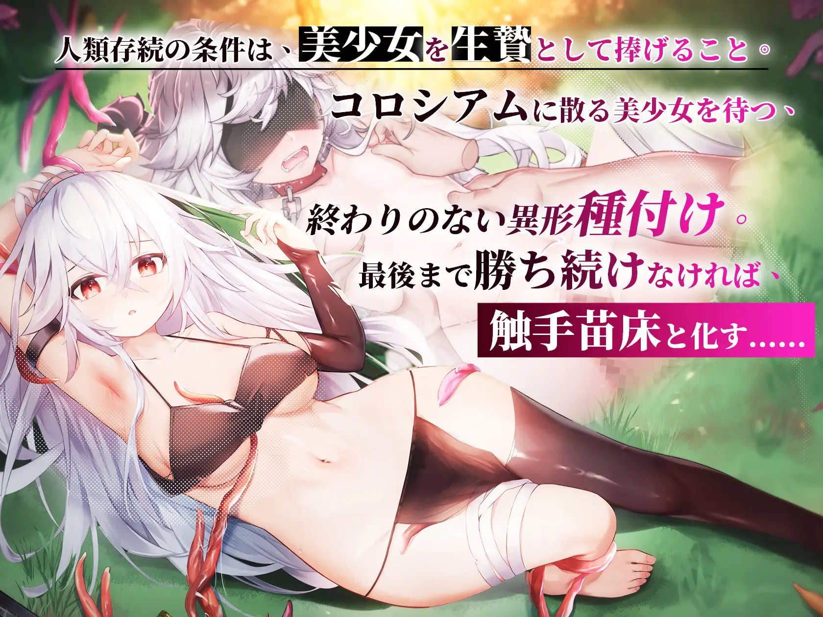 森海幻夢