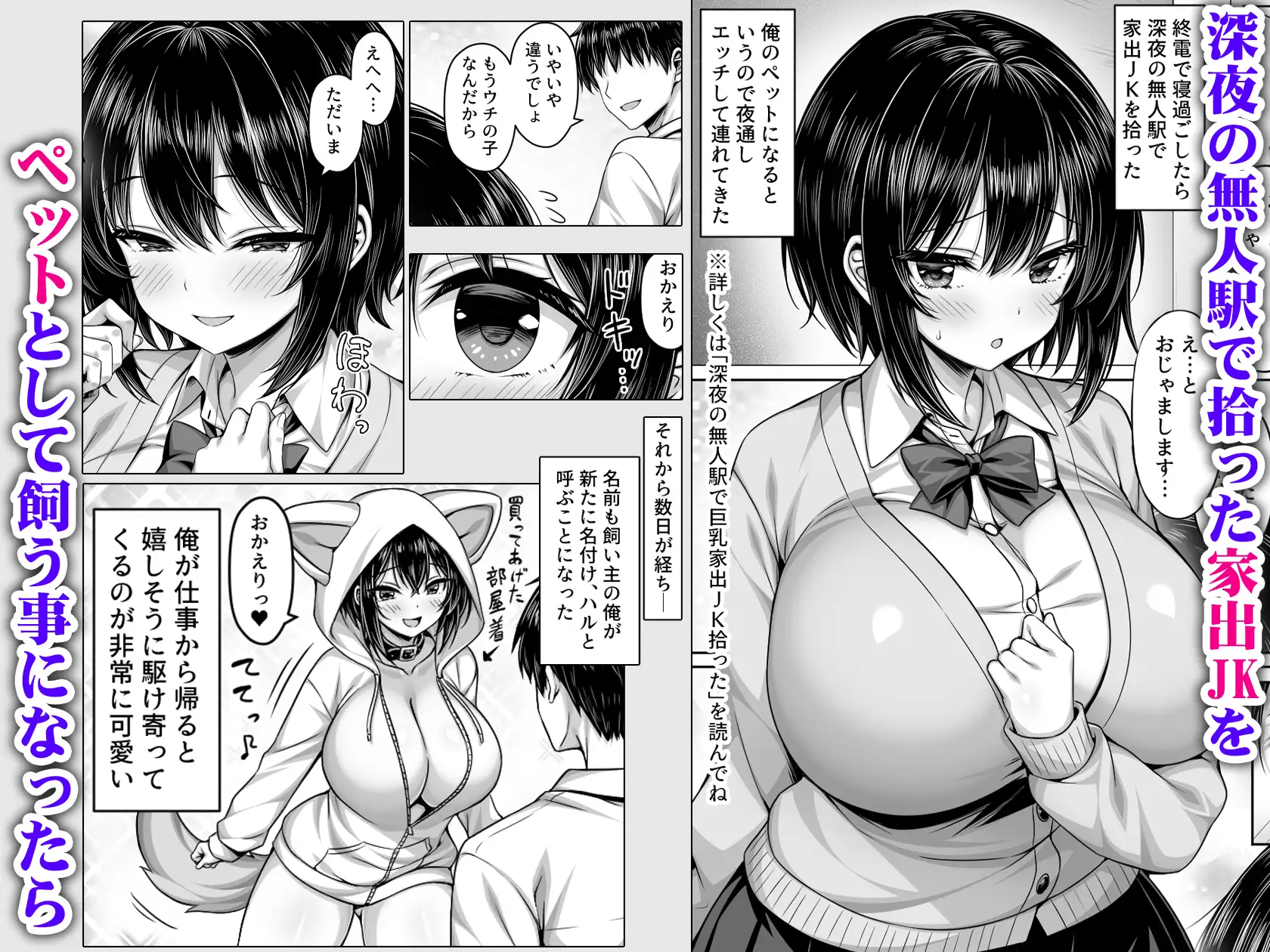 深夜の無人駅で拾った巨乳家出JKの飼い主の日常