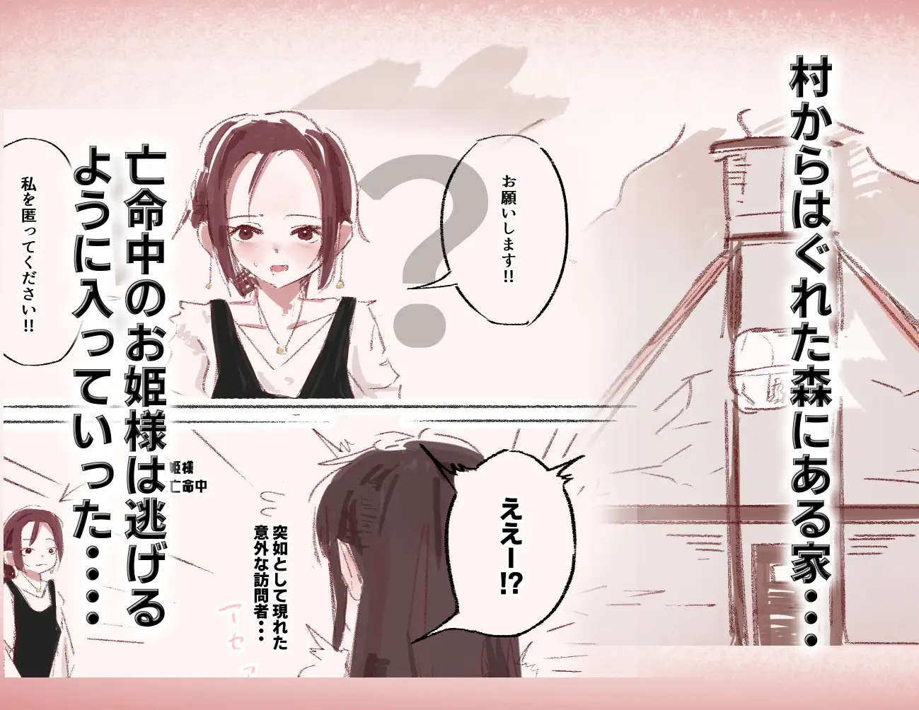 亡命お姫様はふたなりお姉さんのオナホ