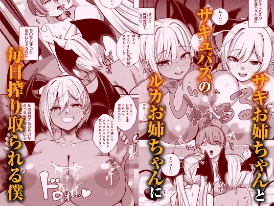 サキュバスと僕3 〜お姉ちゃんは僕だけの孕ませOKお嫁さん〜