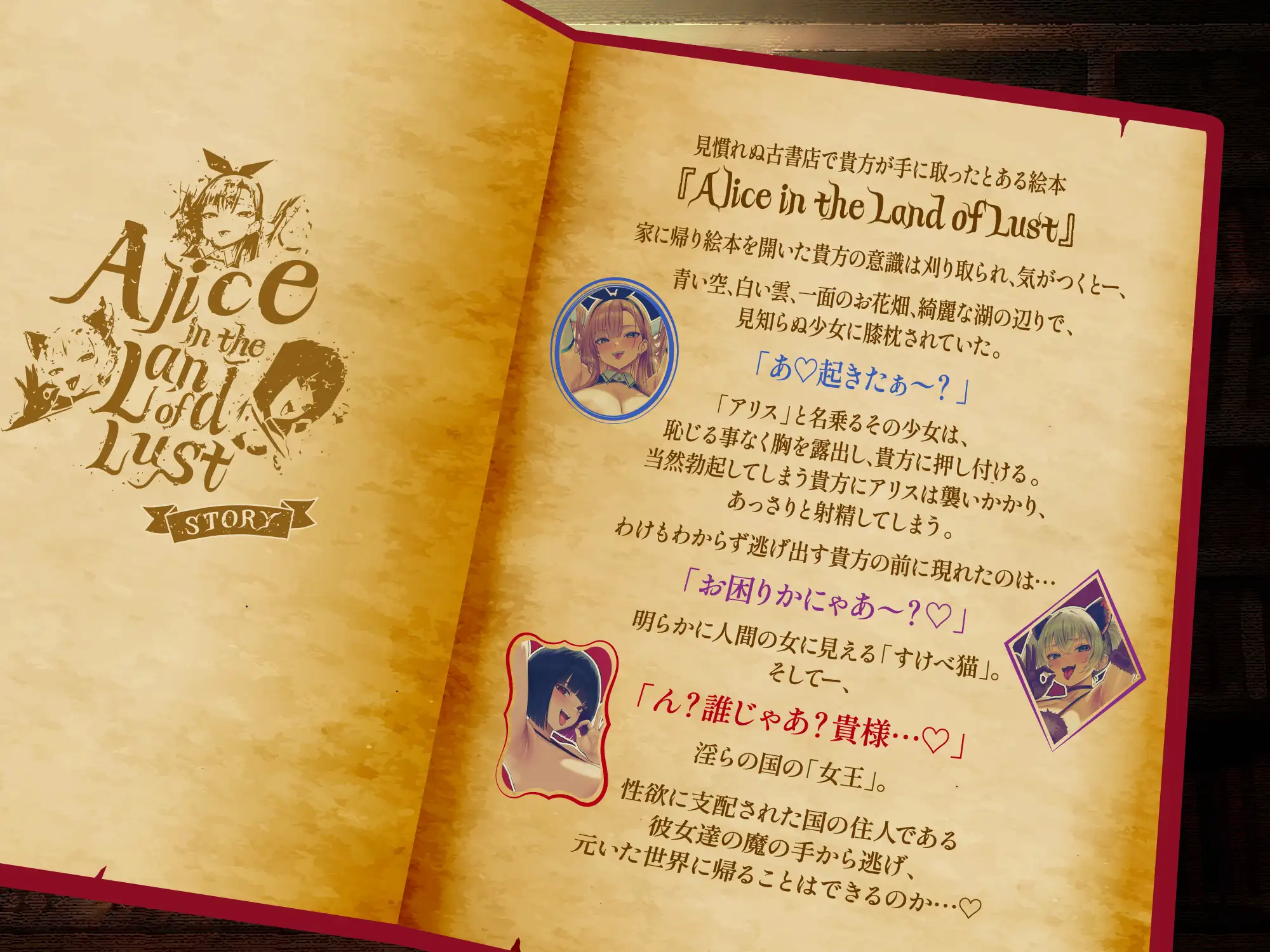 【逆レ○プ】淫らの国のアリス〜古本屋で見つけた絵本の世界に迷い込んだ貴方と、淫らで不思議などすけべ物語〜
