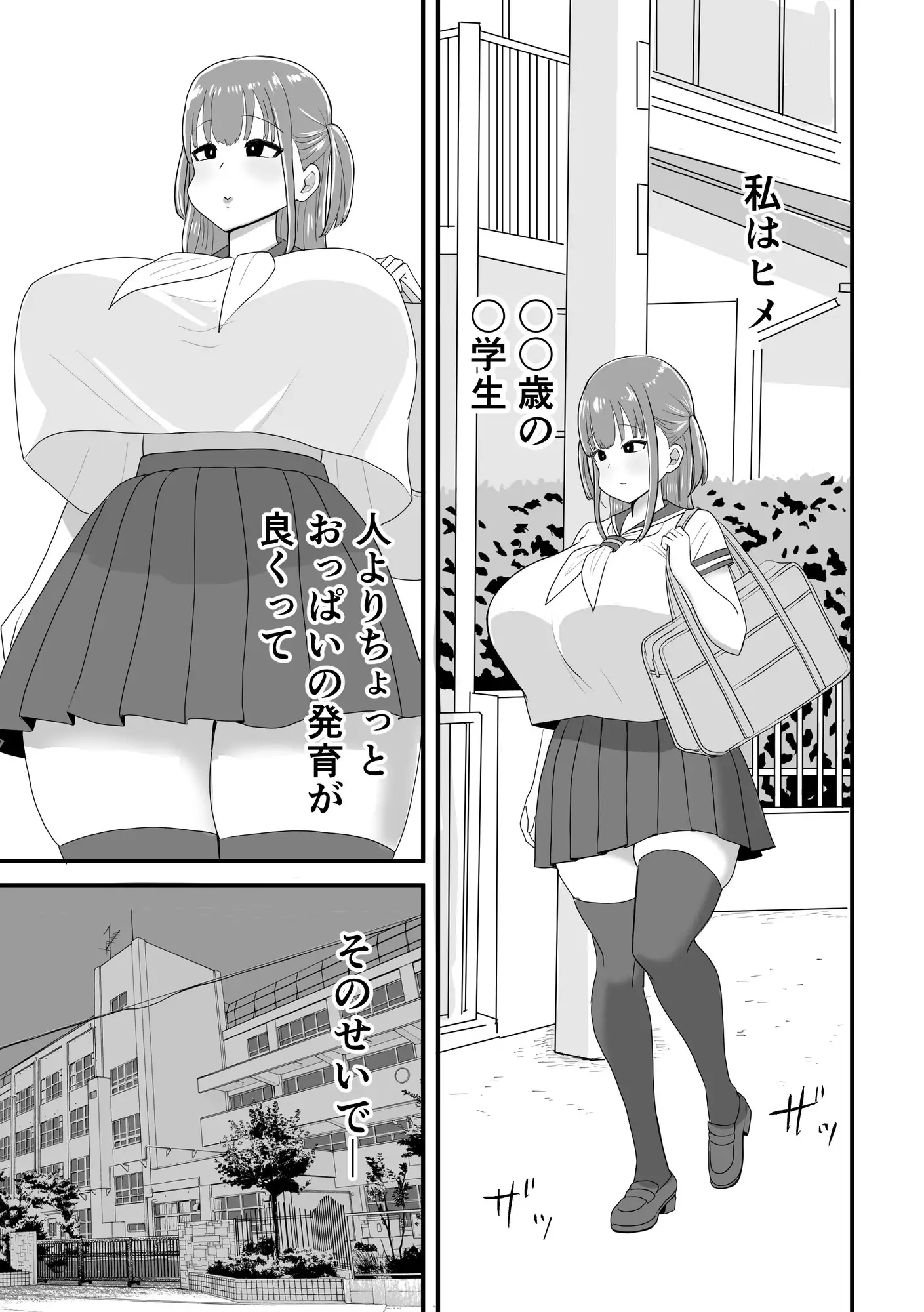 帰宅後、お兄ちゃんと。～爆乳妹ヒメのストレス発散SEX～
