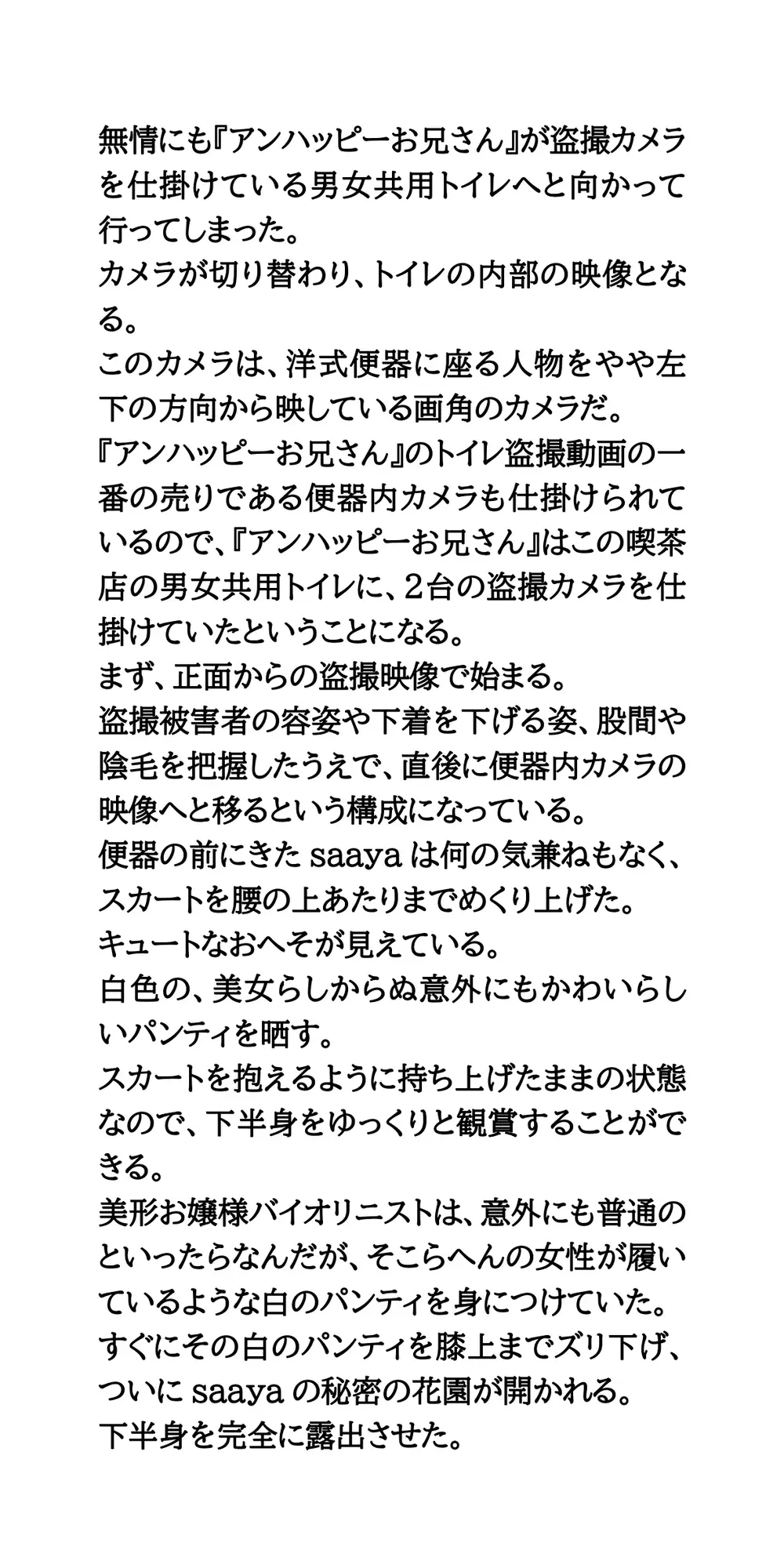 【身近に潜む現代の闇】実際に起こった盗撮事件簿(2)。美人バイオリニスト、トイレ盗撮事件
