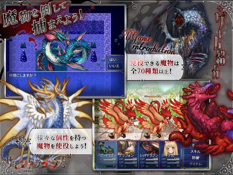サモンドラゴンズ