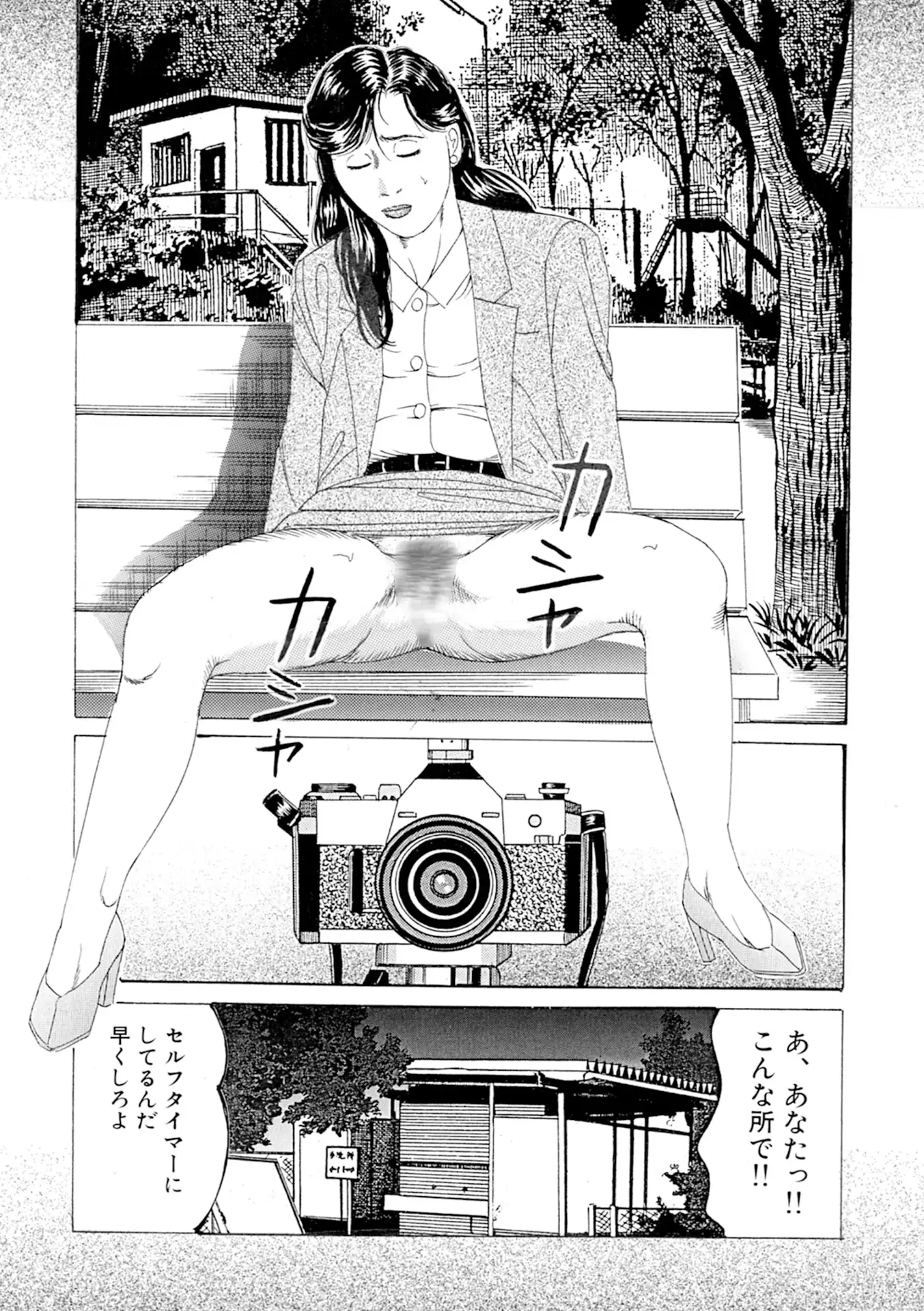 新妻 恥辱悦楽3作品