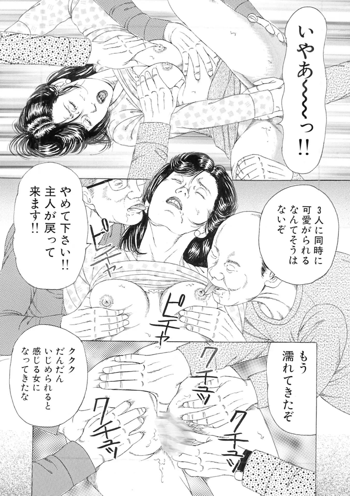 新妻 恥辱悦楽3作品