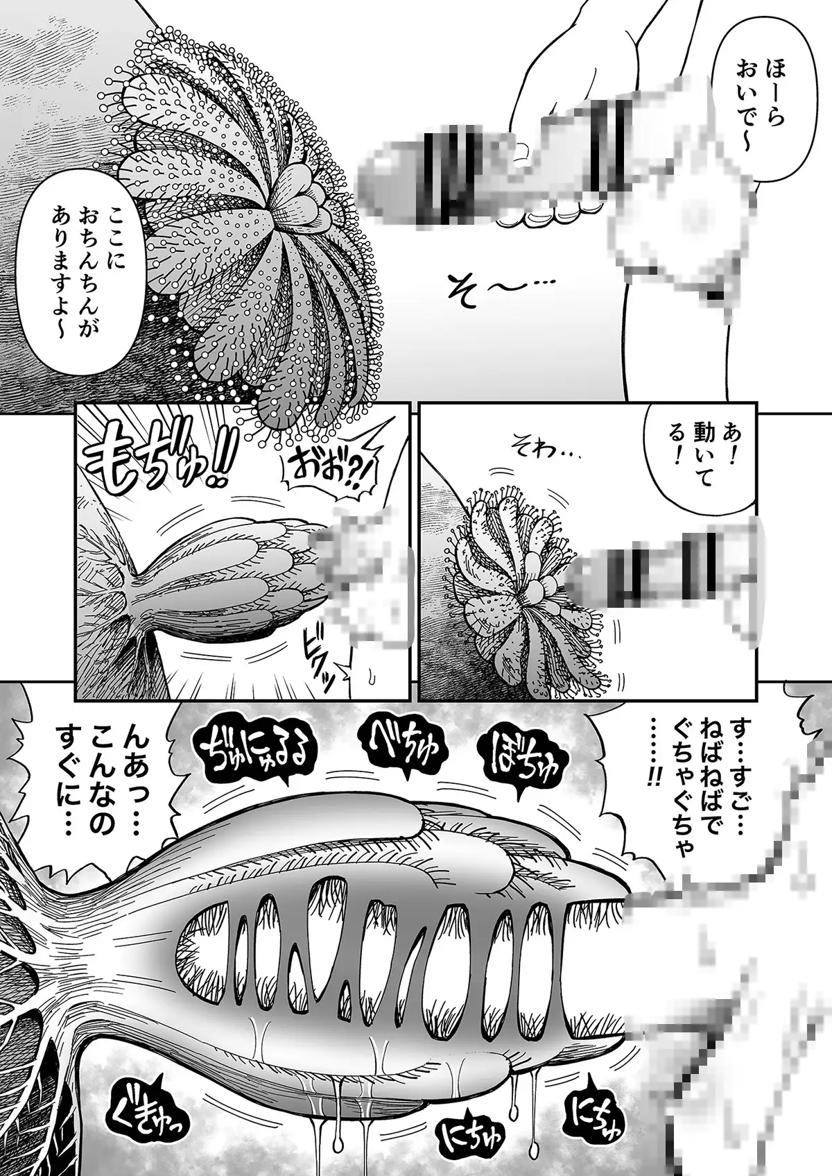 マキちゃん図鑑