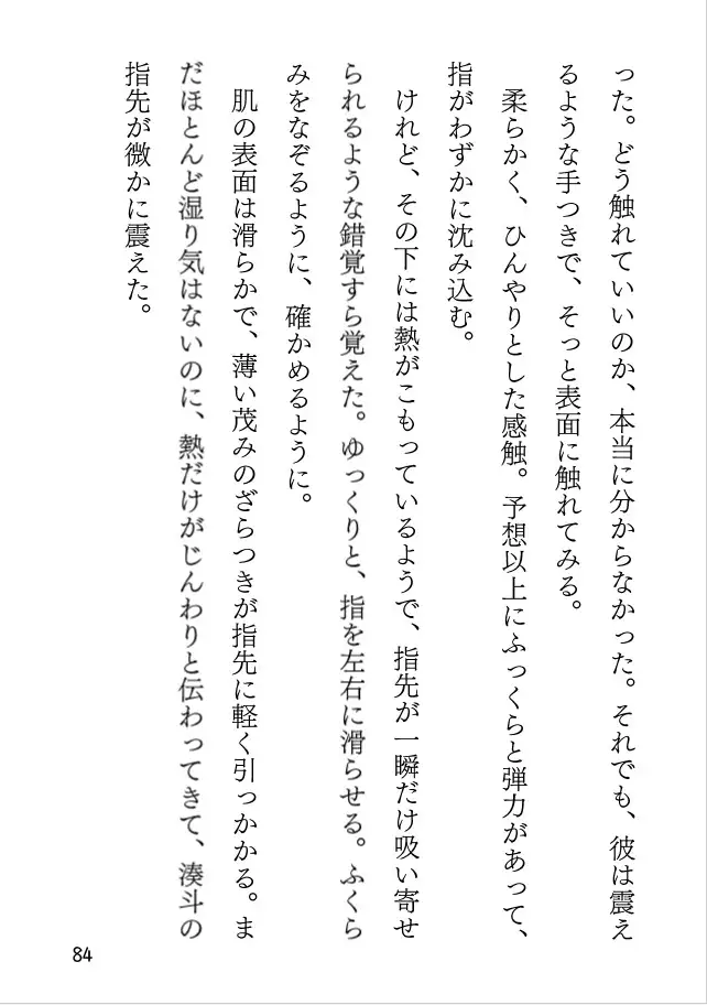 初体験、そのいきさき。～唇より深いところにくちづけを～