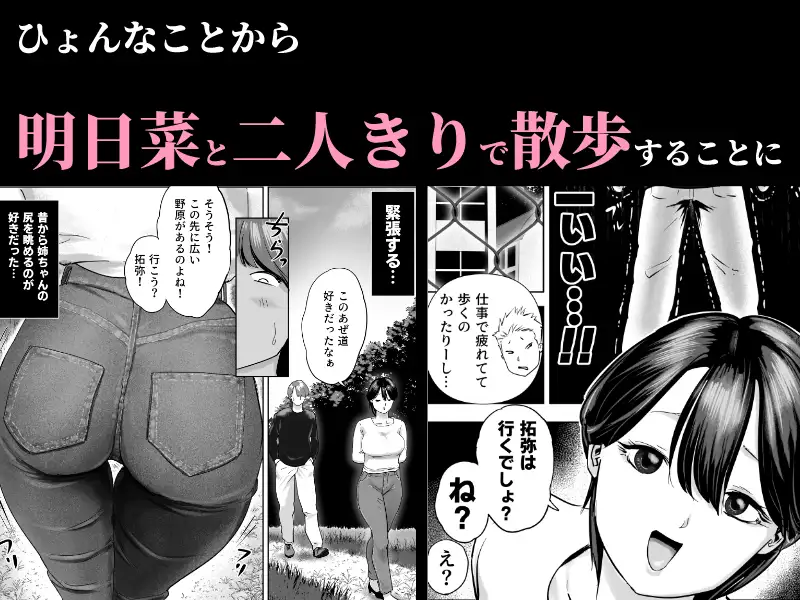 片思いの従姉のケツにチンポブチこんだった