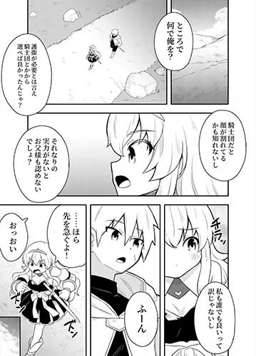 姫と護衛は冒険者1