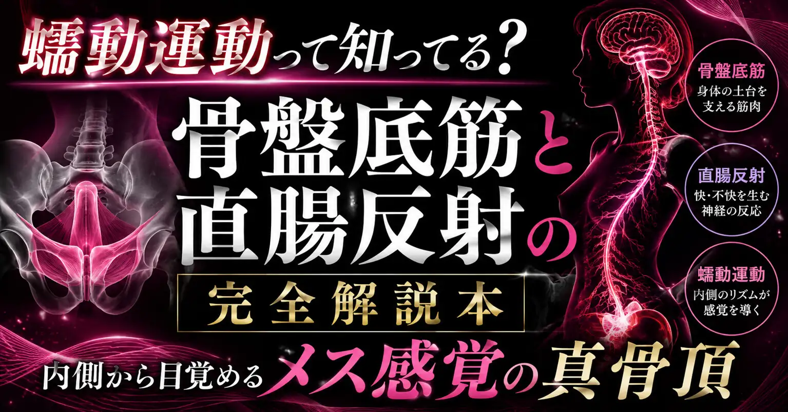 ♡メスイキが起きる瞬間♡に発動する エネマ・アネロスがアナルの中で 勝手に動き出す蠕動運動の起こし方 ♡徹底解説♡