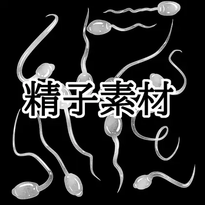 精子素材